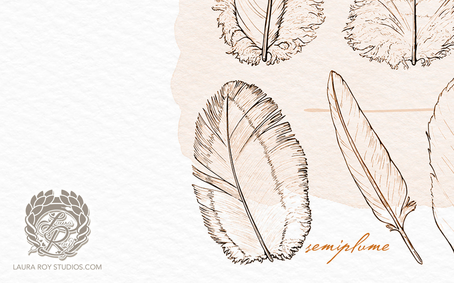 Feather Study Watercolor Ink Giclée Print – Bird Feather Art with Labels