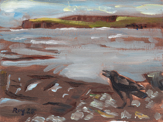 The Rook at Kilkee