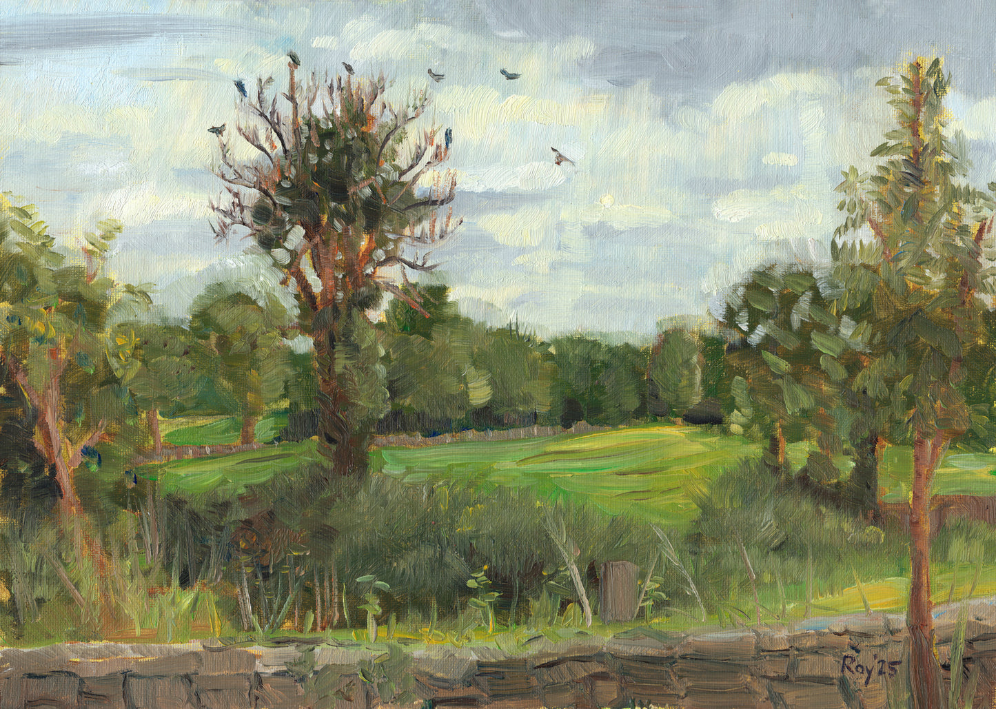 The Rooks' Tree