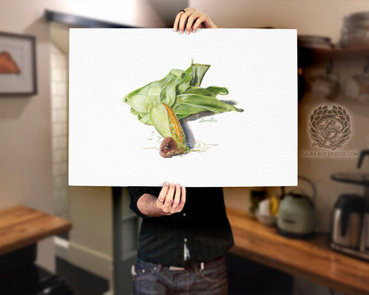 Partially Shucked Corn Watercolor Art Print – Rustic Harvest Illustration, Farmhouse Kitchen Decor