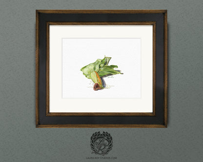 Partially Shucked Corn Watercolor Art Print – Rustic Harvest Illustration, Farmhouse Kitchen Decor