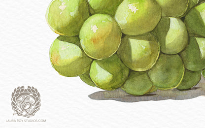 Watercolor Sauvignon Blanc Grape Art Print – Bright White Wine Grapes Wall Decor, Vineyard Kitchen Art