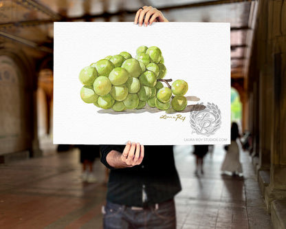 Watercolor Sauvignon Blanc Grape Art Print – Bright White Wine Grapes Wall Decor, Vineyard Kitchen Art