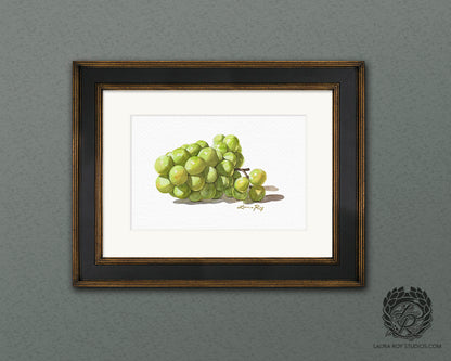 Watercolor Sauvignon Blanc Grape Art Print – Bright White Wine Grapes Wall Decor, Vineyard Kitchen Art