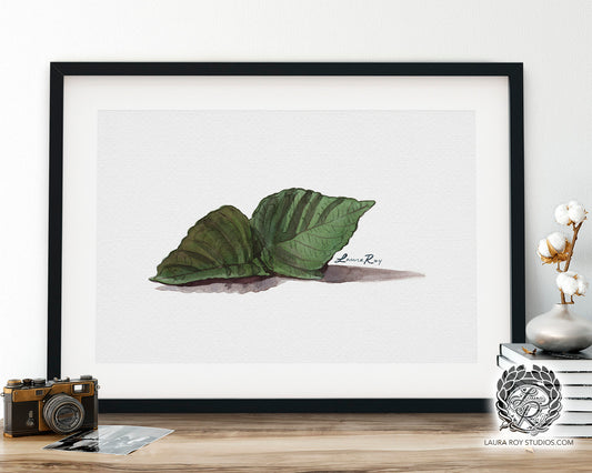 Shiso Leaf Watercolor Art Print – Aromatic Herb Illustration, Japanese Cuisine Kitchen Decor