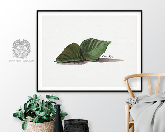 Shiso Leaf Watercolor Art Print – Aromatic Herb Illustration, Japanese Cuisine Kitchen Decor