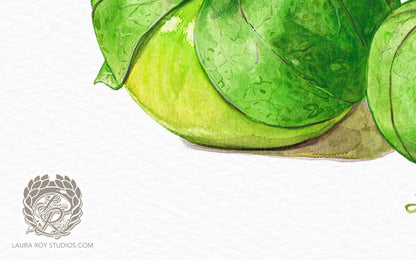 Tomatillo Watercolor Art Print – Botanical Kitchen Decor, Heirloom Garden Vegetables