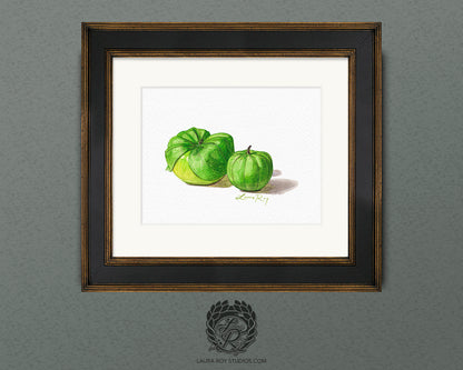 Tomatillo Watercolor Art Print – Botanical Kitchen Decor, Heirloom Garden Vegetables