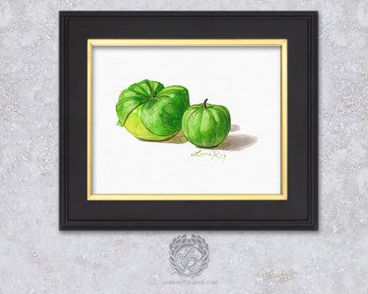 Tomatillo Watercolor Art Print – Botanical Kitchen Decor, Heirloom Garden Vegetables