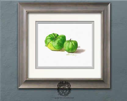 Tomatillo Watercolor Art Print – Botanical Kitchen Decor, Heirloom Garden Vegetables