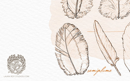 Feather Study Watercolor Ink Giclée Print – Bird Feather Art with Labels