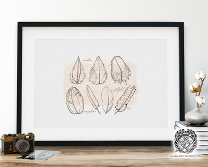Feather Study Watercolor Ink Giclée Print – Bird Feather Art with Labels