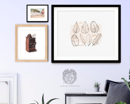 Feather Study Watercolor Ink Giclée Print – Bird Feather Art with Labels