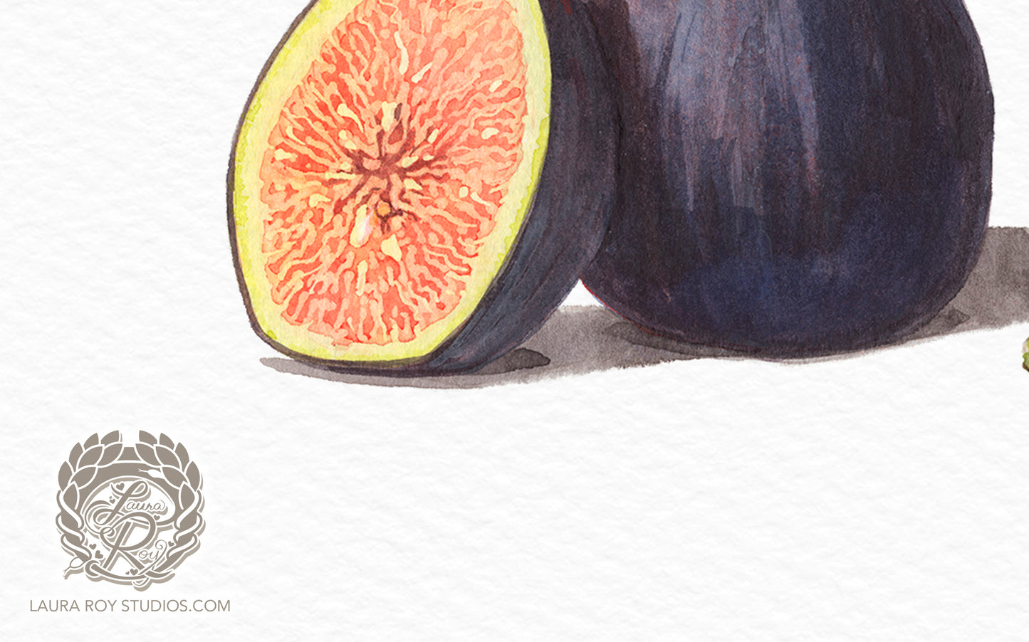 Watercolor Fig Art Print – Fine Art Kitchen Decor, Foodie Gift, Giclée Still Life Fruit Painting