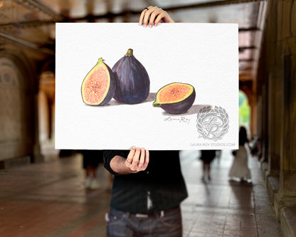 Watercolor Fig Art Print – Fine Art Kitchen Decor, Foodie Gift, Giclée Still Life Fruit Painting