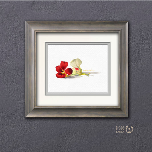 Nasturtiums Watercolor Art Print – Edible Flower Duo Illustration, Colorful Kitchen Wall Decor