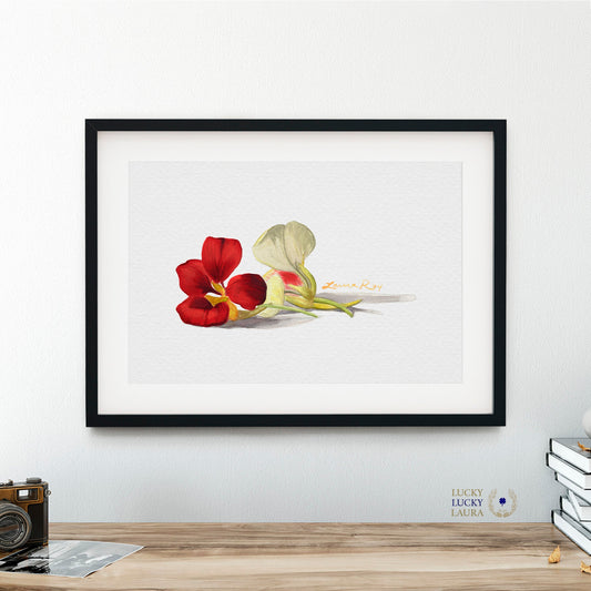 Nasturtiums Watercolor Art Print – Edible Flower Duo Illustration, Colorful Kitchen Wall Decor