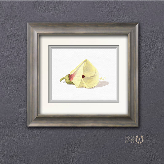 Okra Flower Watercolor Art Print – Delicate Botanical Illustration, Southern Kitchen Decor