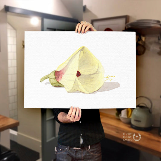 Okra Flower Watercolor Art Print – Delicate Botanical Illustration, Southern Kitchen Decor