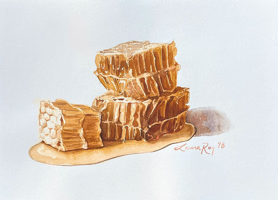 Honeycomb Study