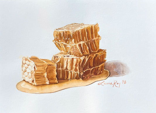 Honeycomb Study