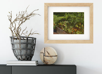 Tomato Garden Oil Painting Giclée Print