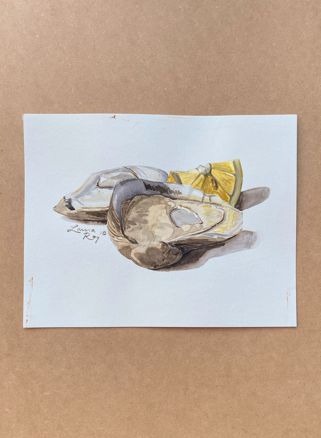 Oysters Study
