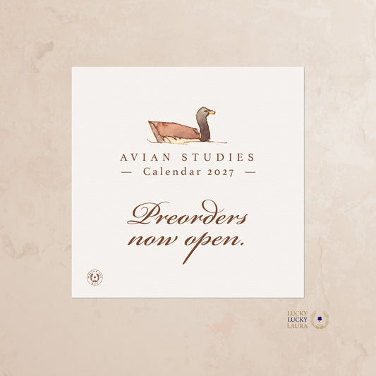 Avian Studies 2027 Watercolor Desk Calendar | Fine Art Calendar Gift