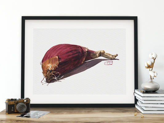 Italian Onion Watercolor | Giclée Print